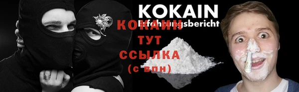 спайс Баксан
