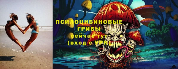 сатива Балахна