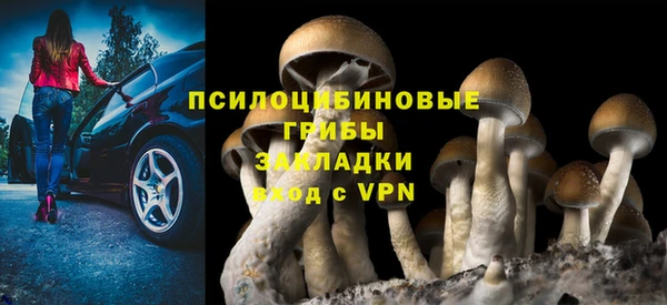 сатива Балахна