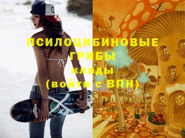 спайс Баксан