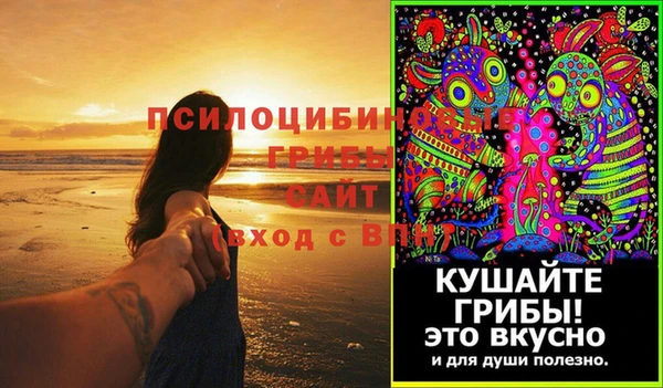 сатива Балахна