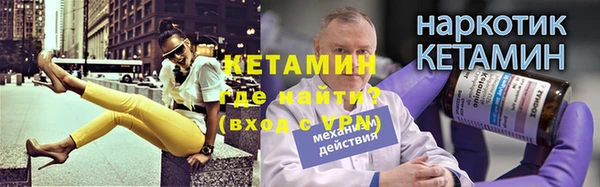 сатива Балахна