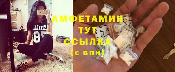 сатива Балахна