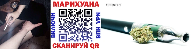 Купить  Чадан  Шишки марихуана конопля 